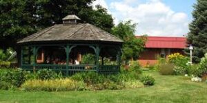 A Visit to Cornell Cooperative Gardens @ Cornell Cooperative Gardens