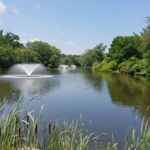Summertime Walk @ Buckingham Pond